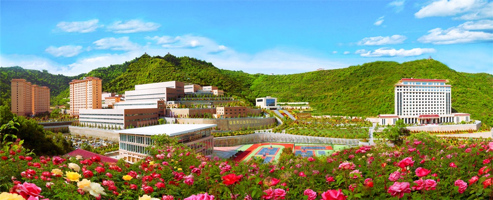 三季有花、四季常青的金徽礦區(qū)-p2.jpg
