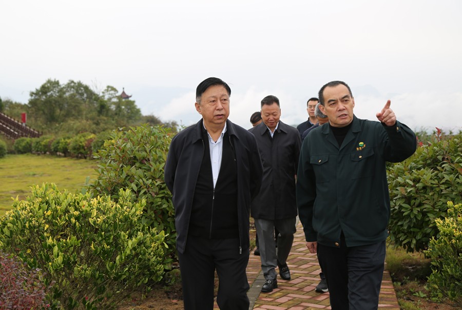 19-2021年10月，原國土資源部副部長汪民蒞臨公司調研。.jpg