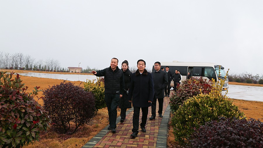 45-2020年12月，省高級人民法院黨組成員、副院長任建國蒞臨金徽股份調研知識產權司法保護工作。.jpg